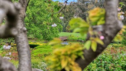 Japanese Garden - Cowra 